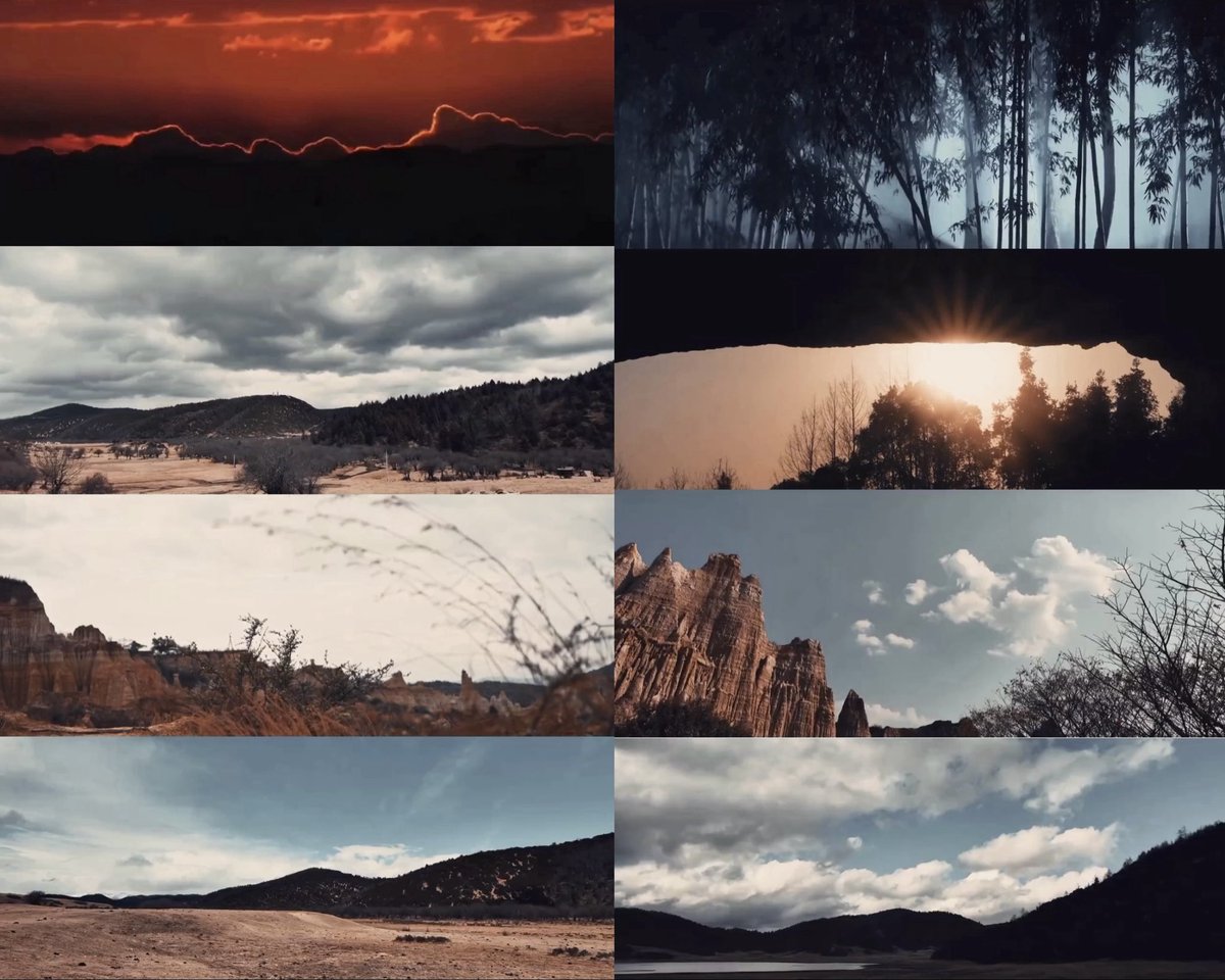 ncy ʕ•ᴥ•ʔ tweet media