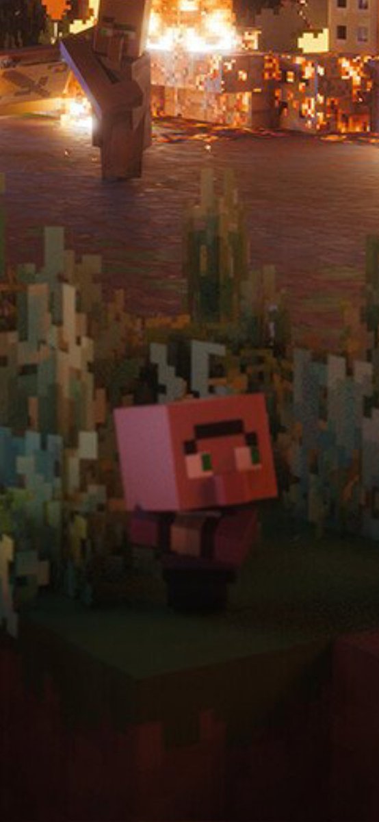 Nova Wostra tweet media