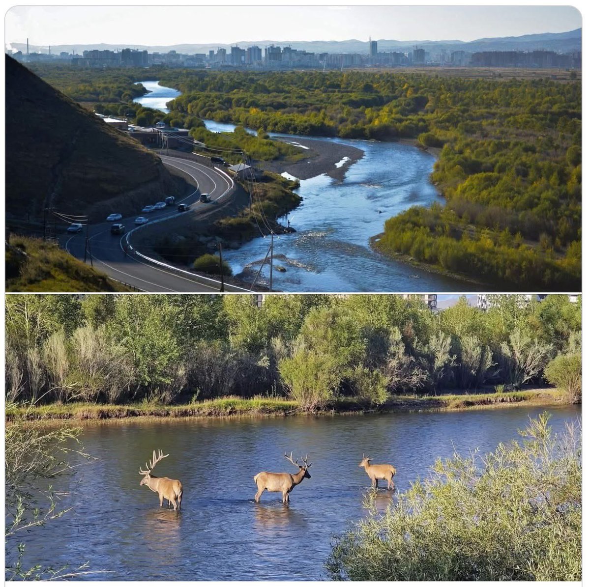 Болдын ӨЛЗИЙБАЯР tweet media