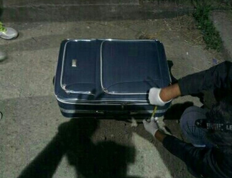 RedPirate2025 tweet media