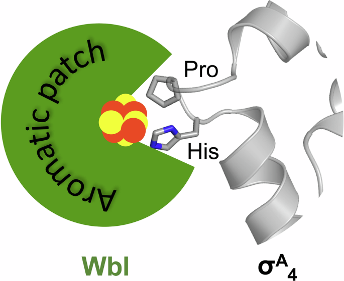 Communications Biology tweet media
