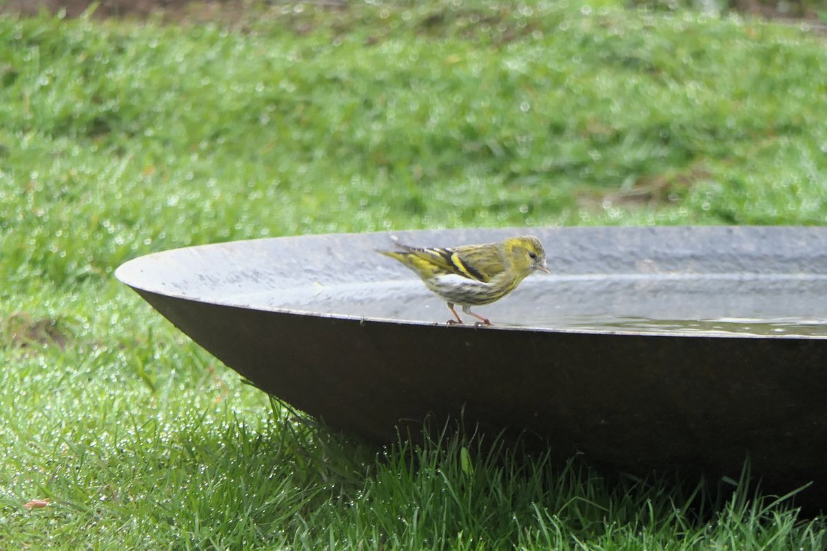 𝓡𝓮𝓿𝓭 𝓓𝓪𝓿𝓲𝓭 𝓐𝓽𝓴𝓲𝓷𝓼𝓸𝓷 tweet media