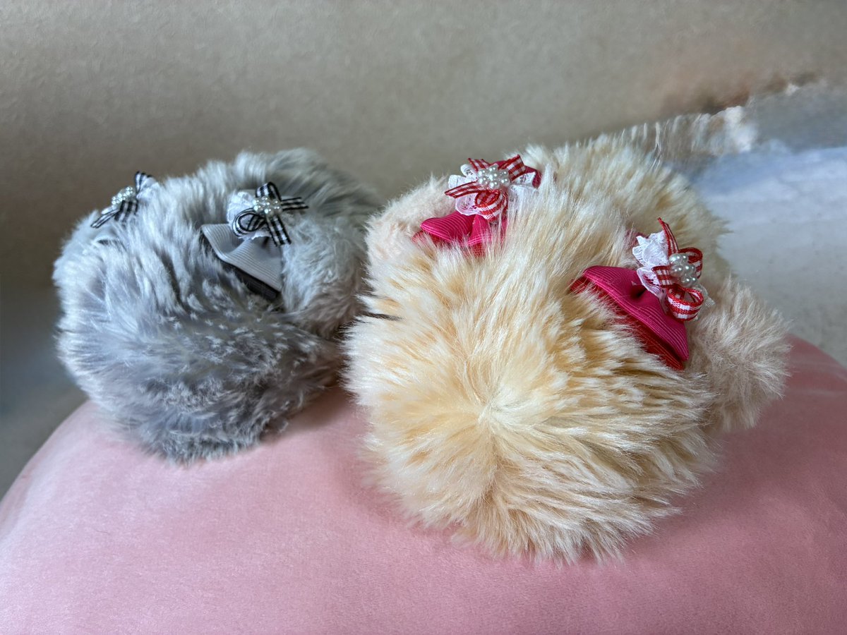 φ田π子＠ごな&えこ＆すぅぼ&ごかぁる主 tweet media