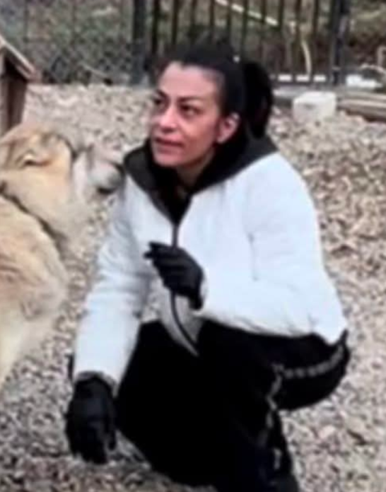 RedPirate2025 tweet media