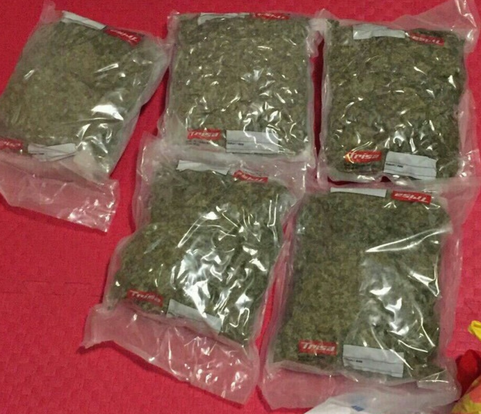 RedPirate2025 tweet media