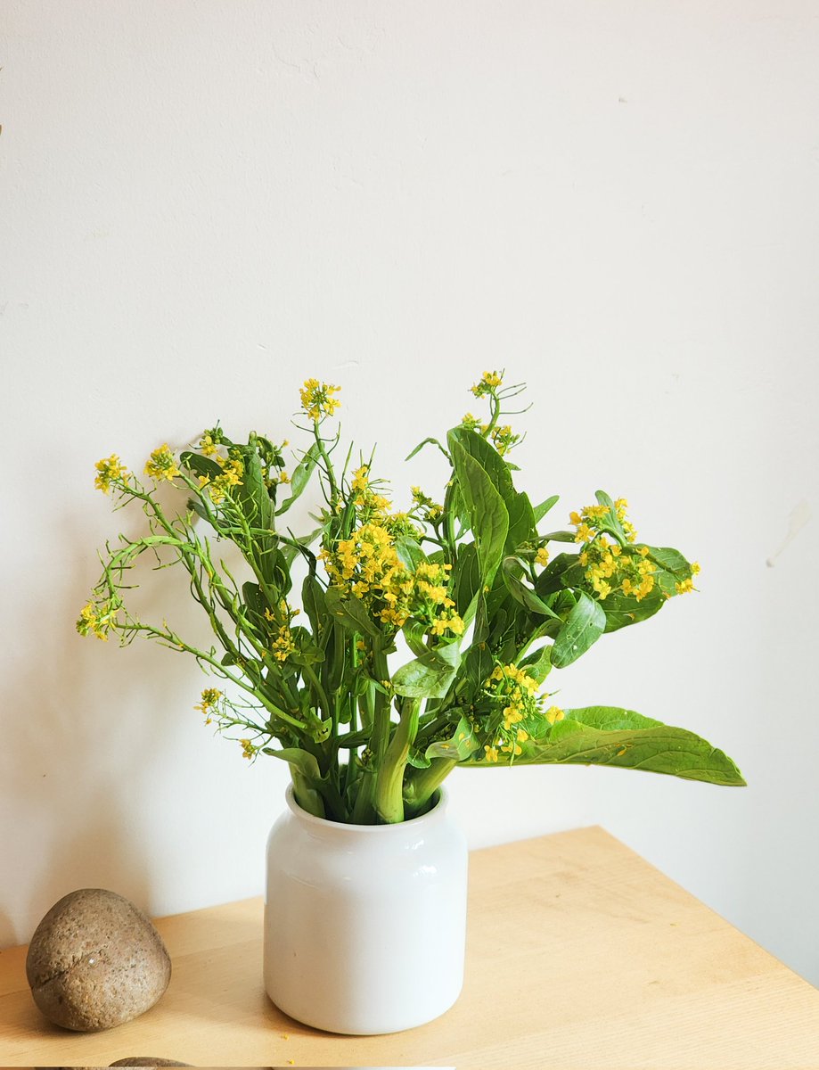 🍂 – rewilding tweet media