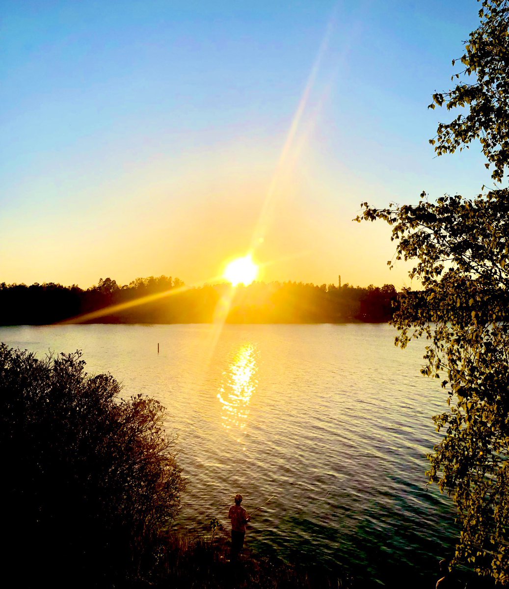 Johanna Kukka tweet media