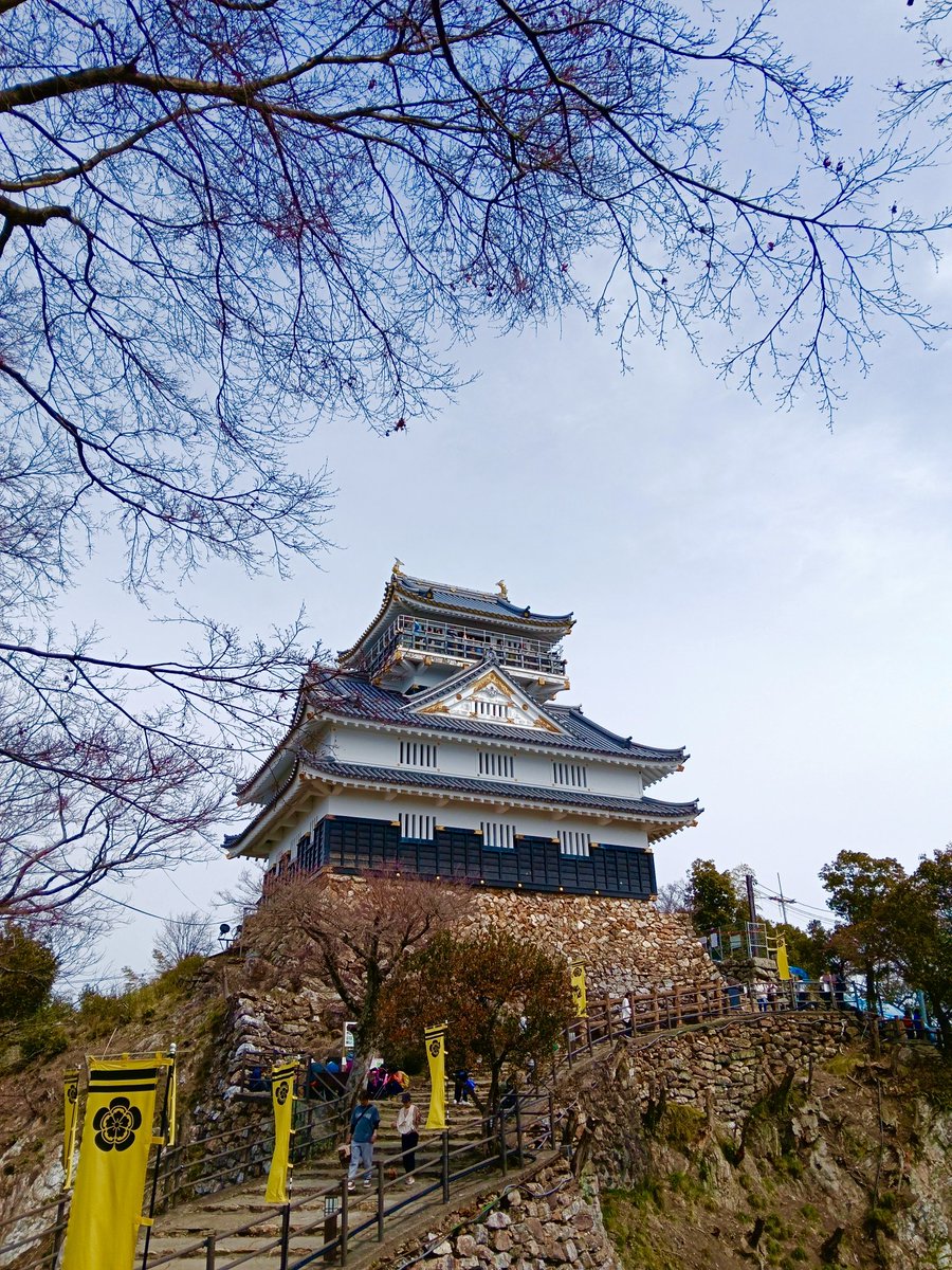 WADA Akira tweet media