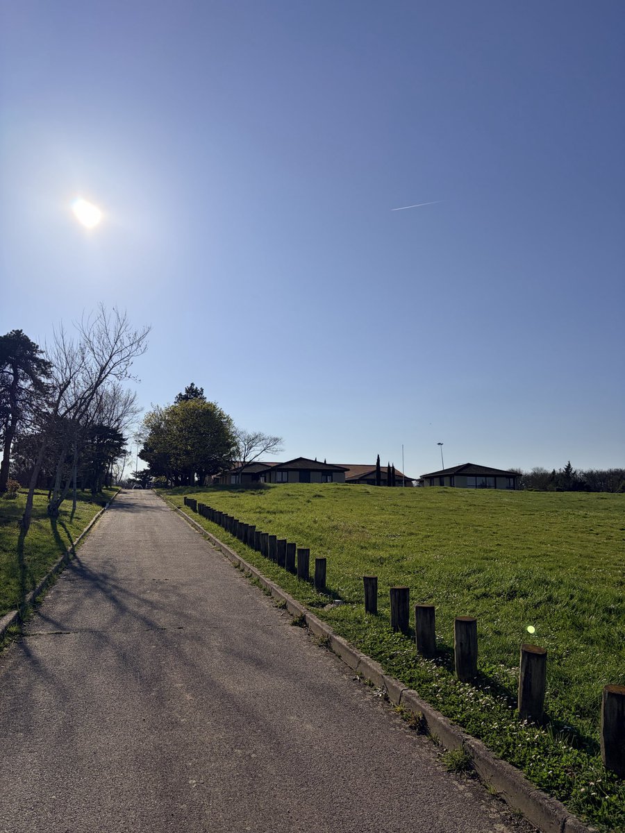 Coach Jay - Au TCS 🏀 tweet media