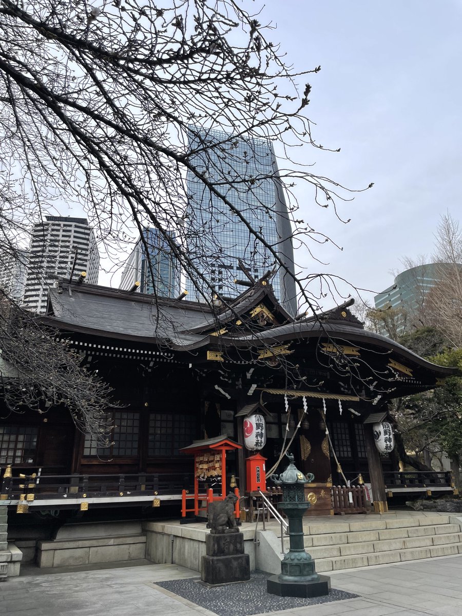 ぶらコロリ tweet media