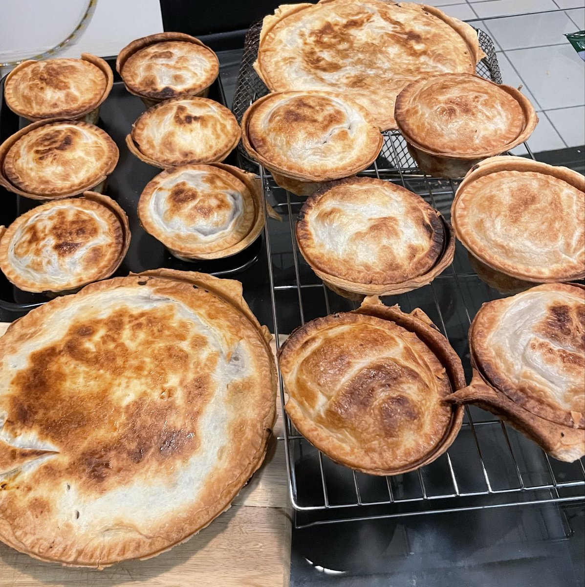 ▇ .𝐊𝐚𝐭𝐡._ ▇ tweet media