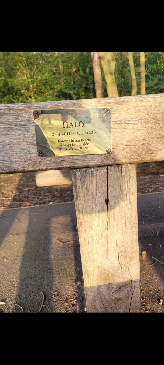 stephen roberts tweet media