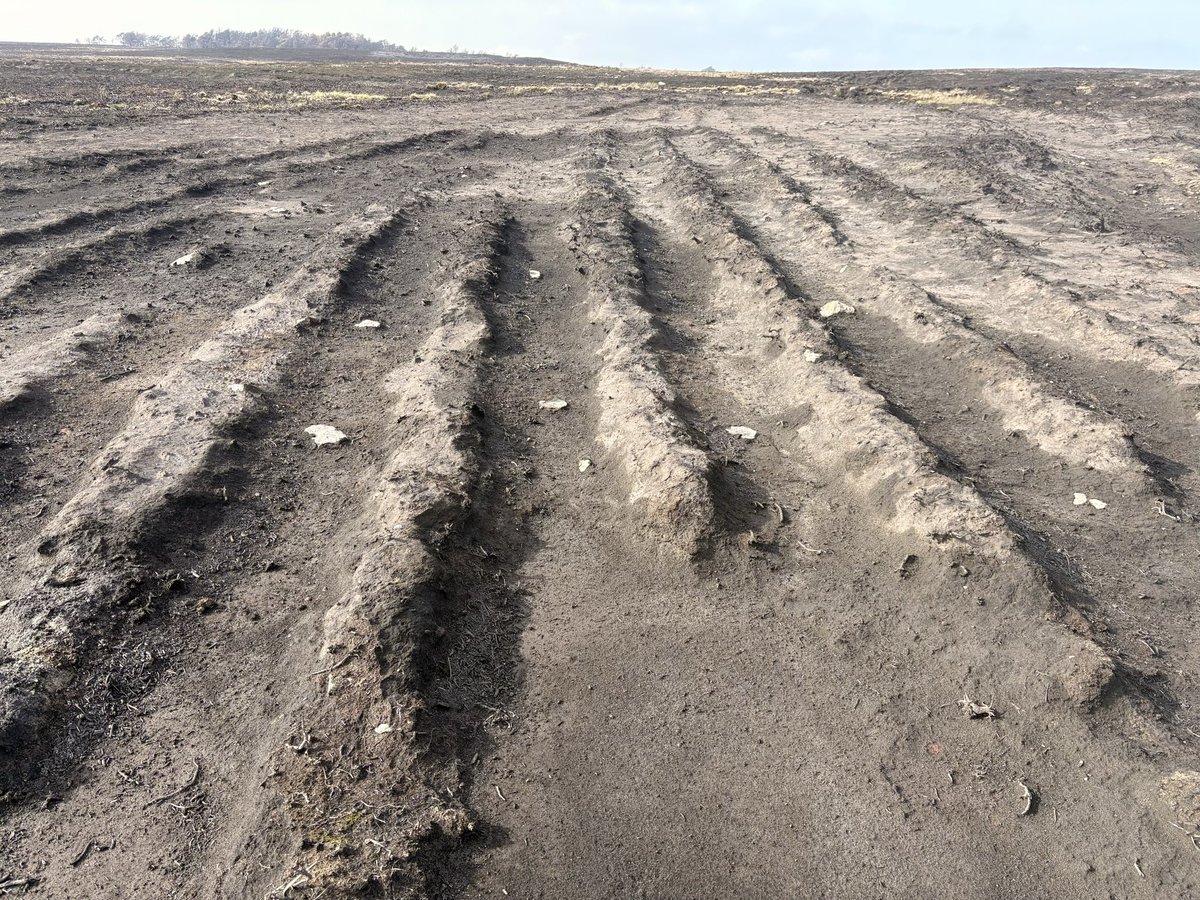 Jim Leary tweet media