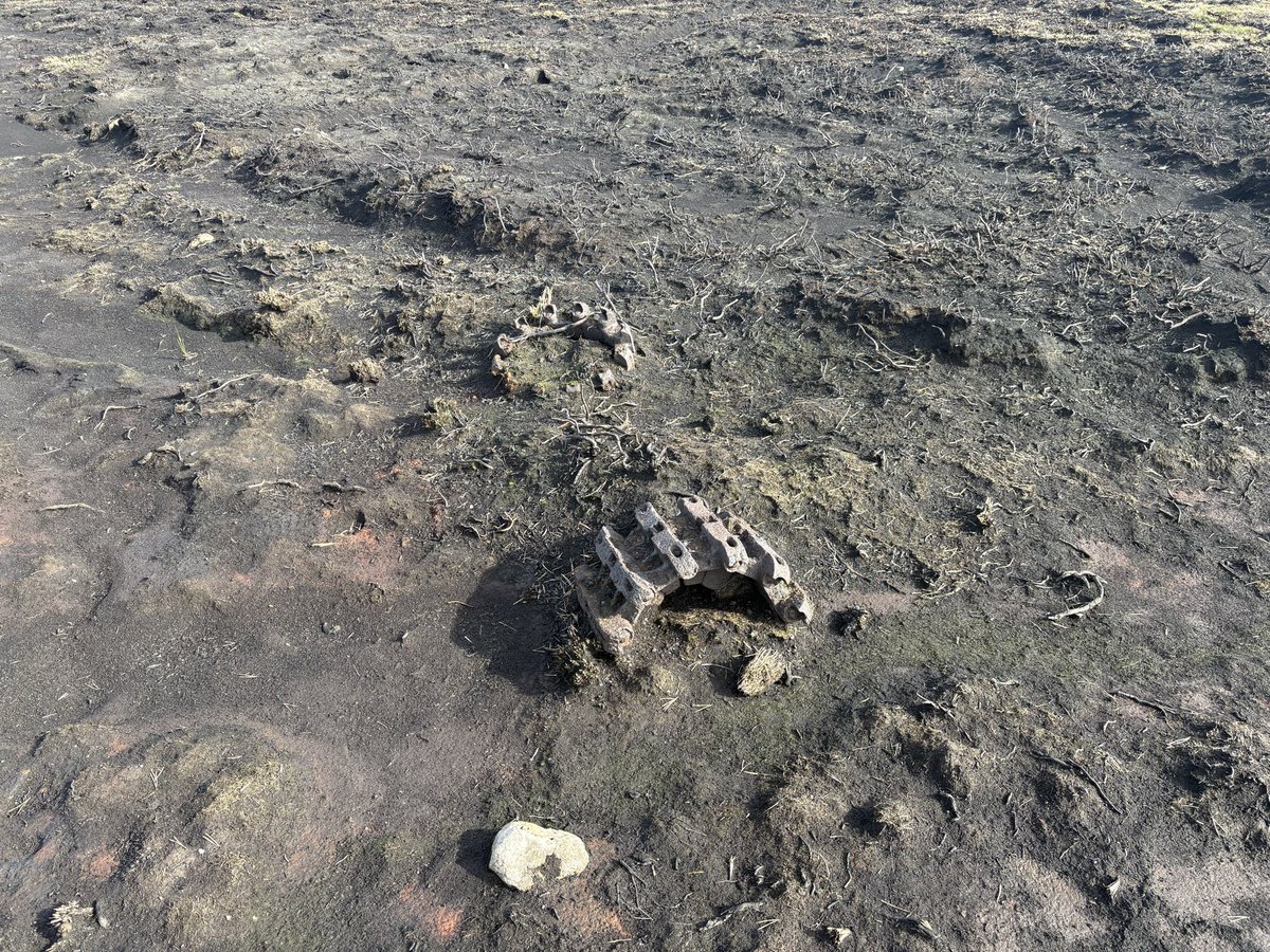 Jim Leary tweet media