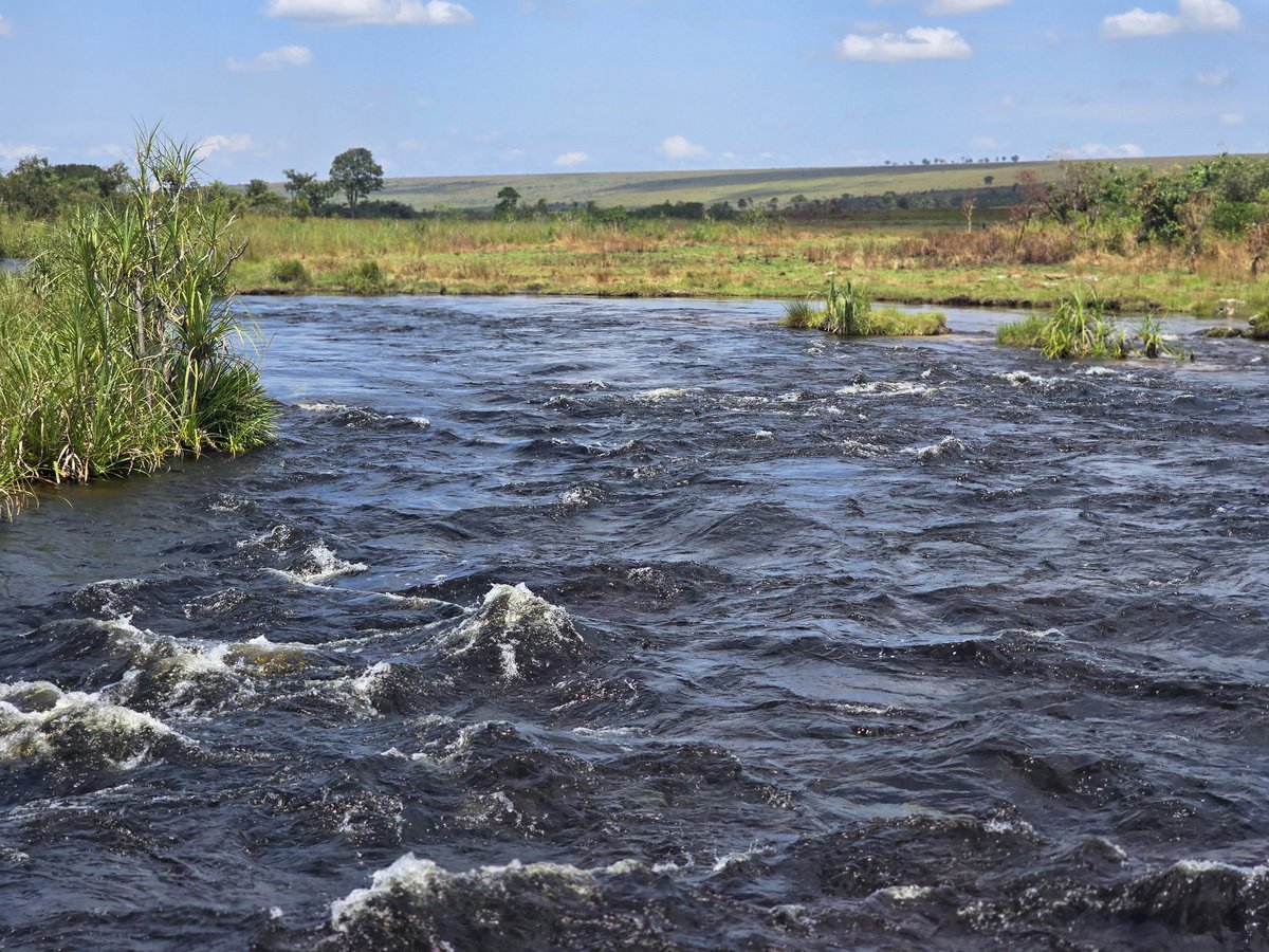 Landry Kinkani18 tweet media