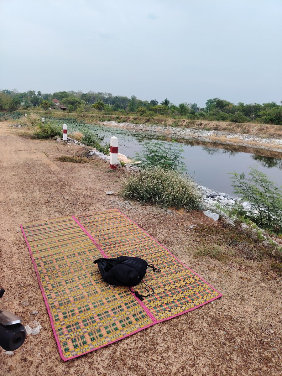 บริการแว๊กขนตูด tweet media