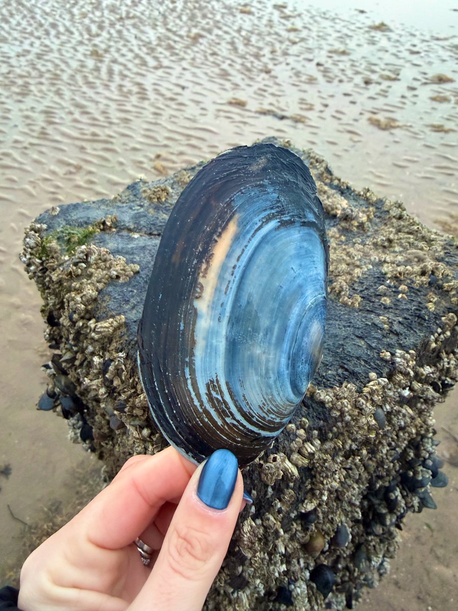 Kelly 👱🏻‍♀️🌊🔆 tweet media