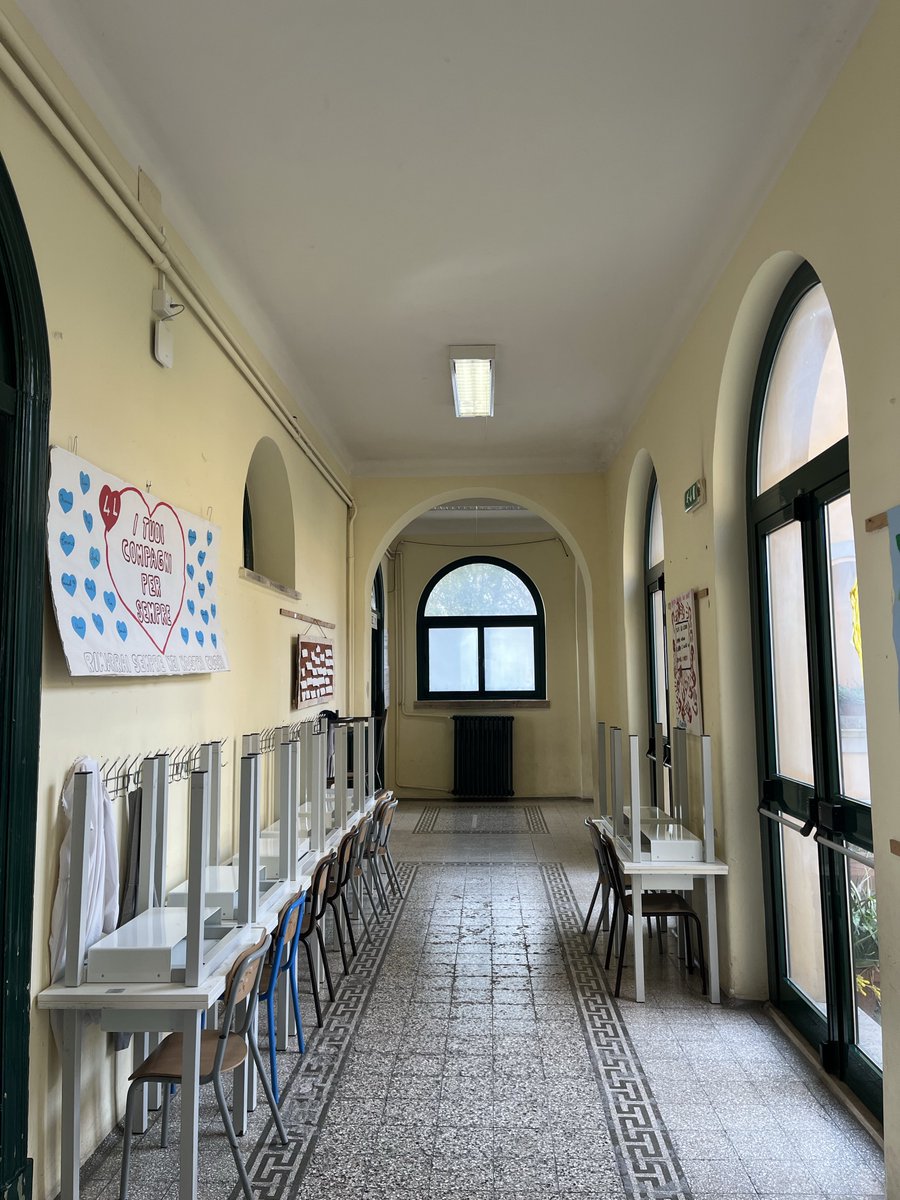 Daniela Ranieri tweet media