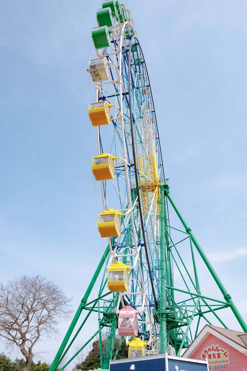 らいは tweet media