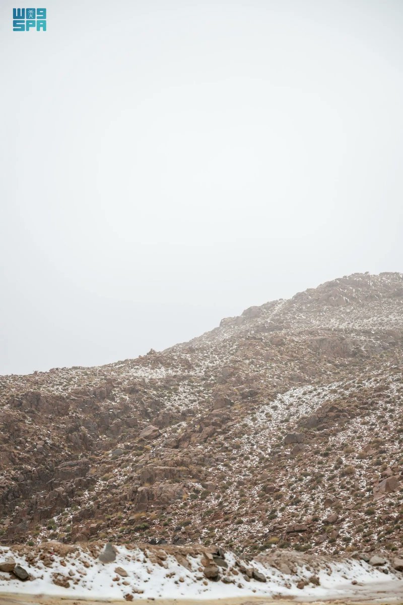 واس جودة الحياة tweet media