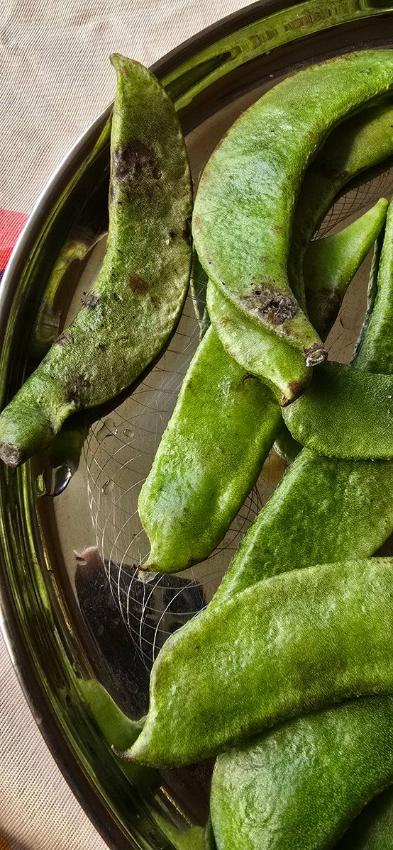 Astronaut Wale Baba 👨‍🚀 tweet media