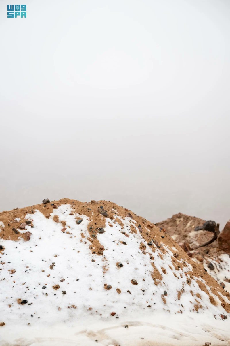 واس جودة الحياة tweet media