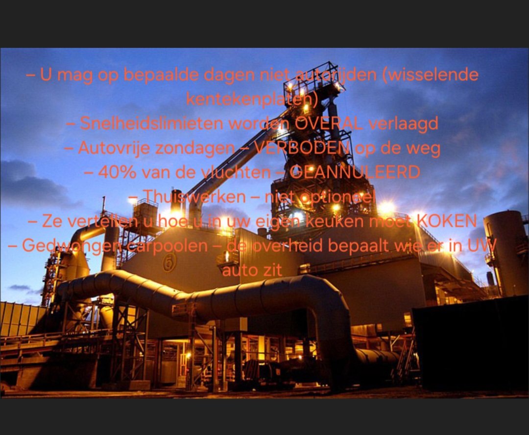 🦋RockyMountain 🐕🦺 tweet media