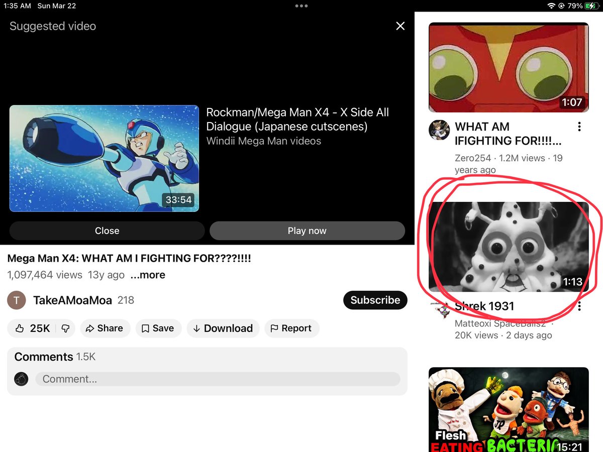 The penguin named sam tweet media