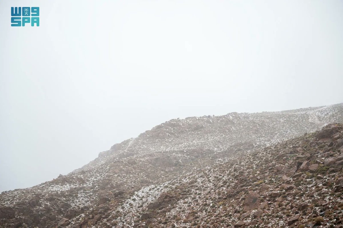 واس جودة الحياة tweet media