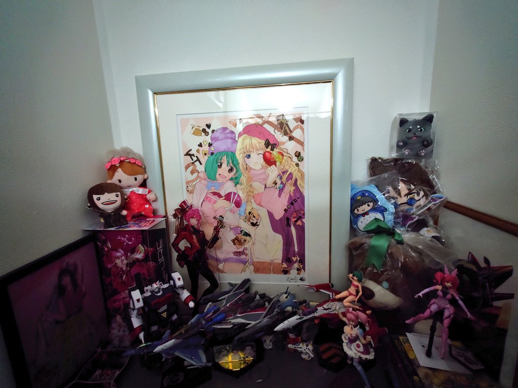 おかちん🛫🛩️ tweet media