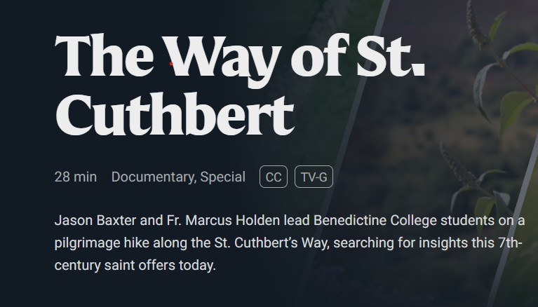 Dr Anne E Bailey tweet media