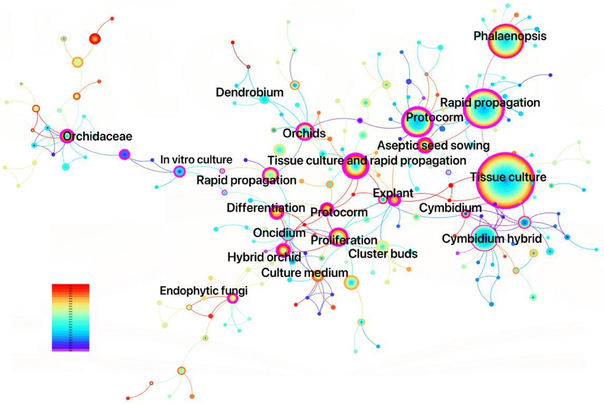 Maximum Academic tweet media
