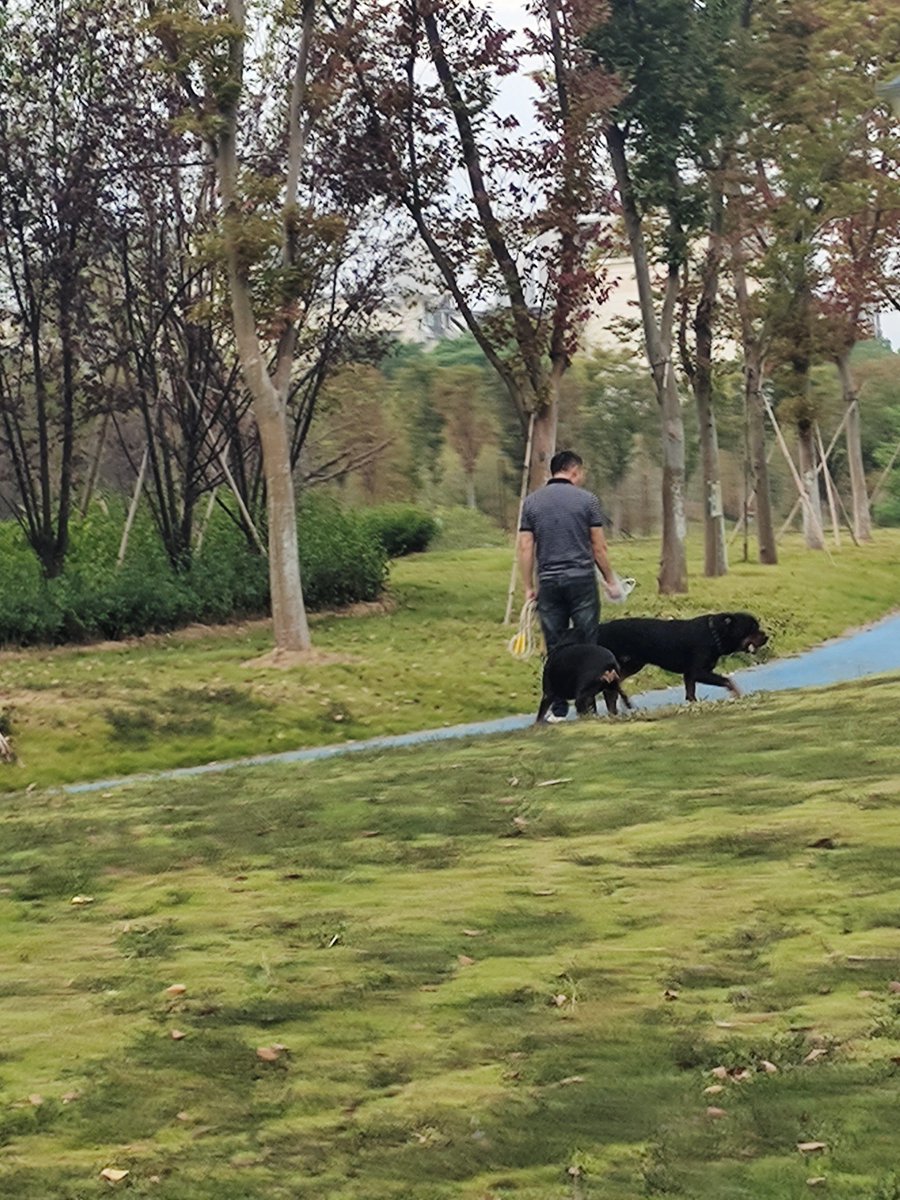 Jballem1's tweet image. Neighborhood Clean-Up u0026 Picnic | Sat, 10 AM | Central Park Gazebo  Grab gloves, bring a blanket—clean the park, then share snacks! Free coffee for volunteers. Tag a friend! #CommunityLove #LocalGood