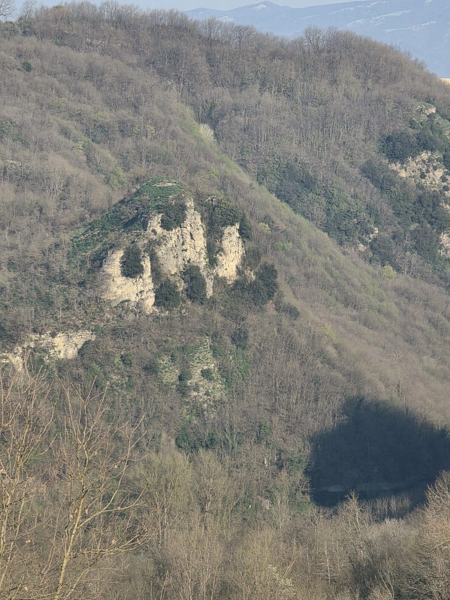 Angioletto tweet media