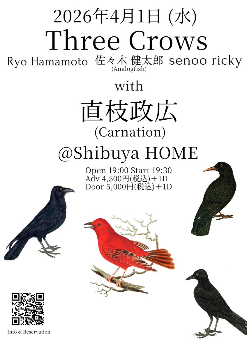 Analogfish/佐々木健太郎（Kentaro Sasaki） tweet media