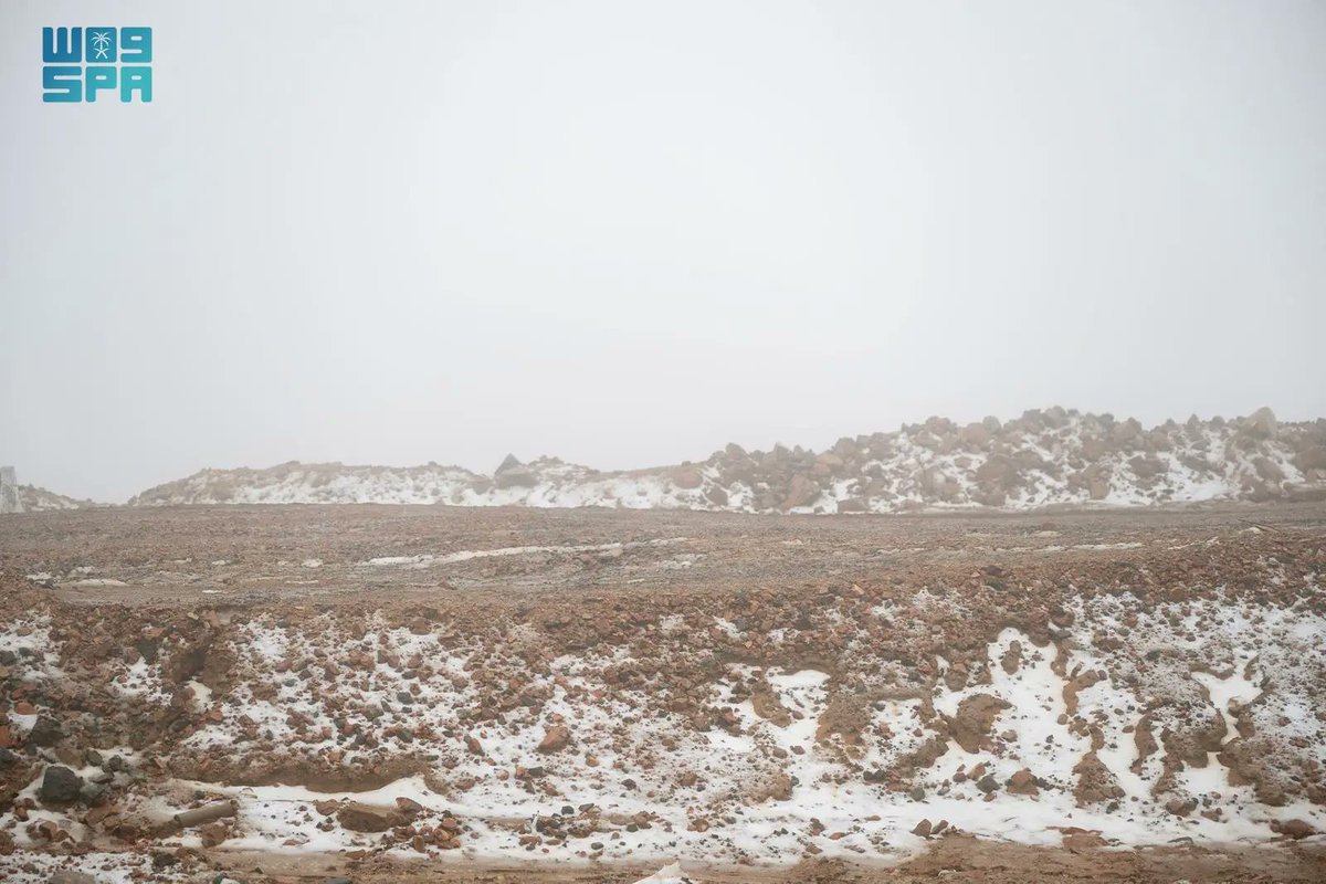 واس جودة الحياة tweet media