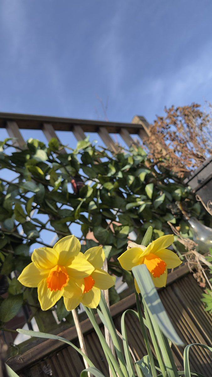 🌱📷 Shaun Through the Lens (9K)🇬🇧🇺🇦🏳️‍🌈 tweet media