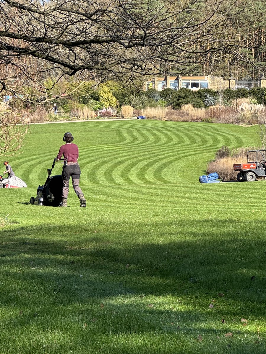 Barbara🦕 tweet media