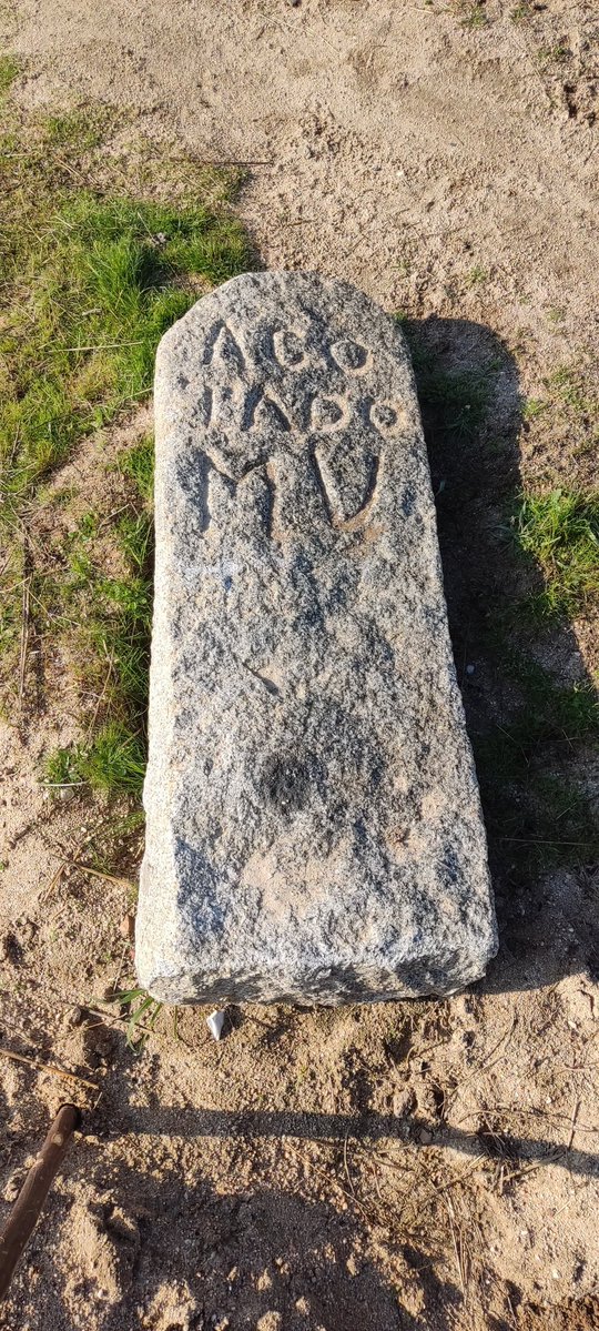 Ramon Blom 🇪🇸🌻🕉️ tweet media