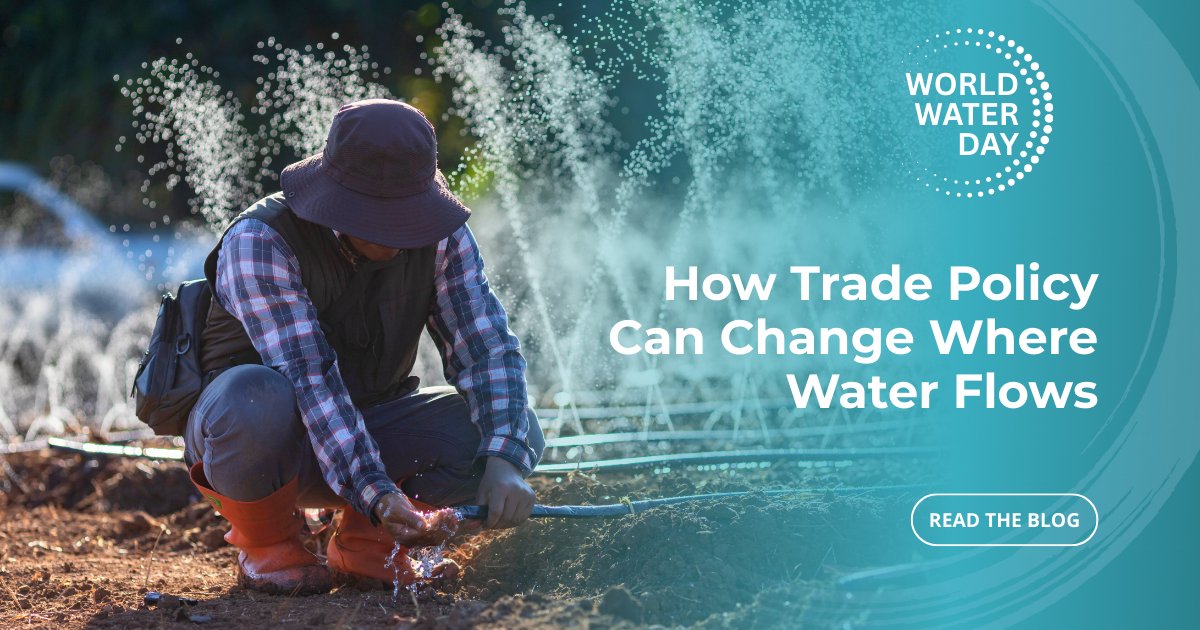 World Bank Water tweet media