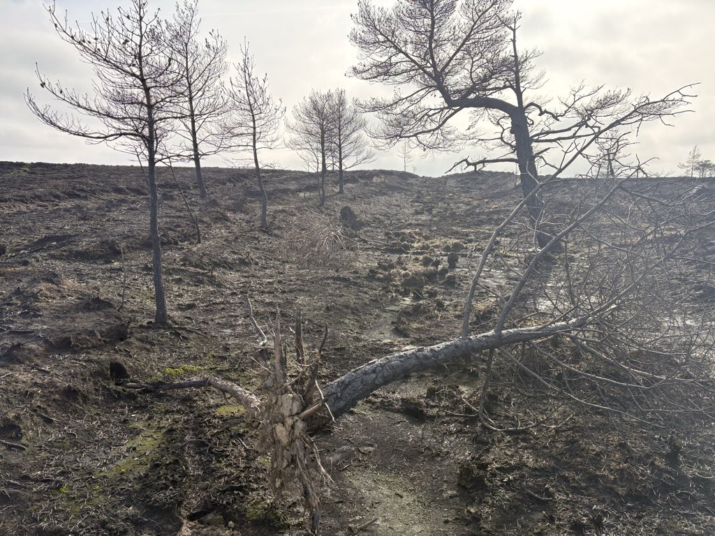 Jim Leary tweet media