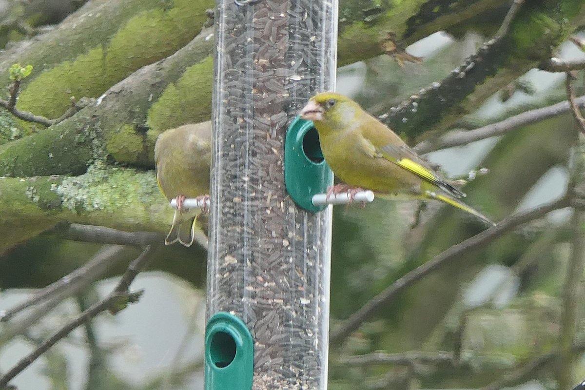 𝓡𝓮𝓿𝓭 𝓓𝓪𝓿𝓲𝓭 𝓐𝓽𝓴𝓲𝓷𝓼𝓸𝓷 tweet media