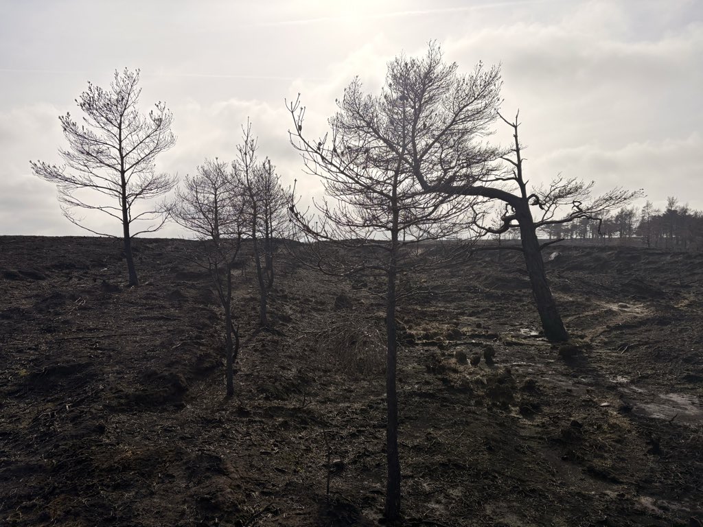 Jim Leary tweet media