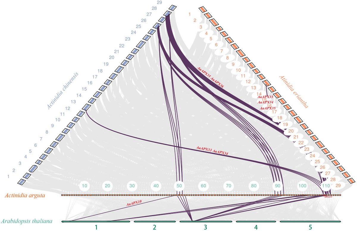 Maximum Academic tweet media