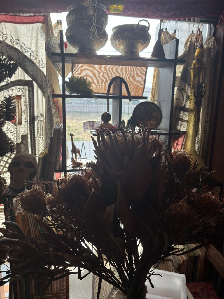 まぼろし🐼ポイポイ tweet media