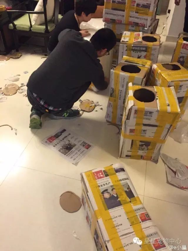 Mariana Serrano tweet media