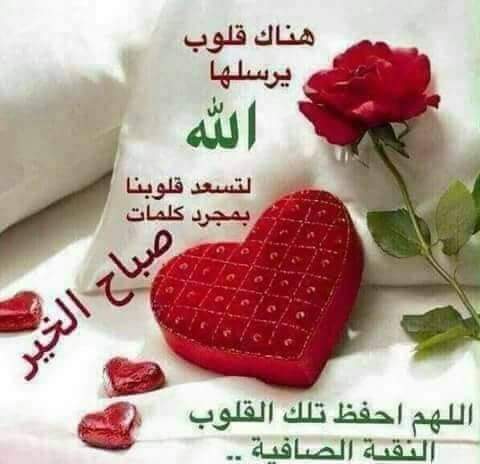 Saeed...Hassouna tweet media