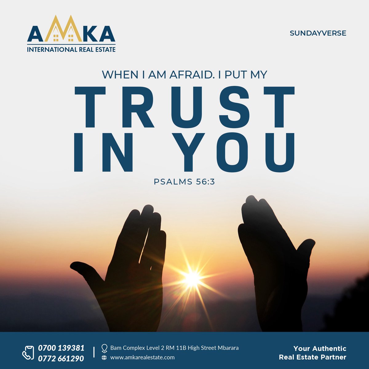 Amka International Real Estate tweet media