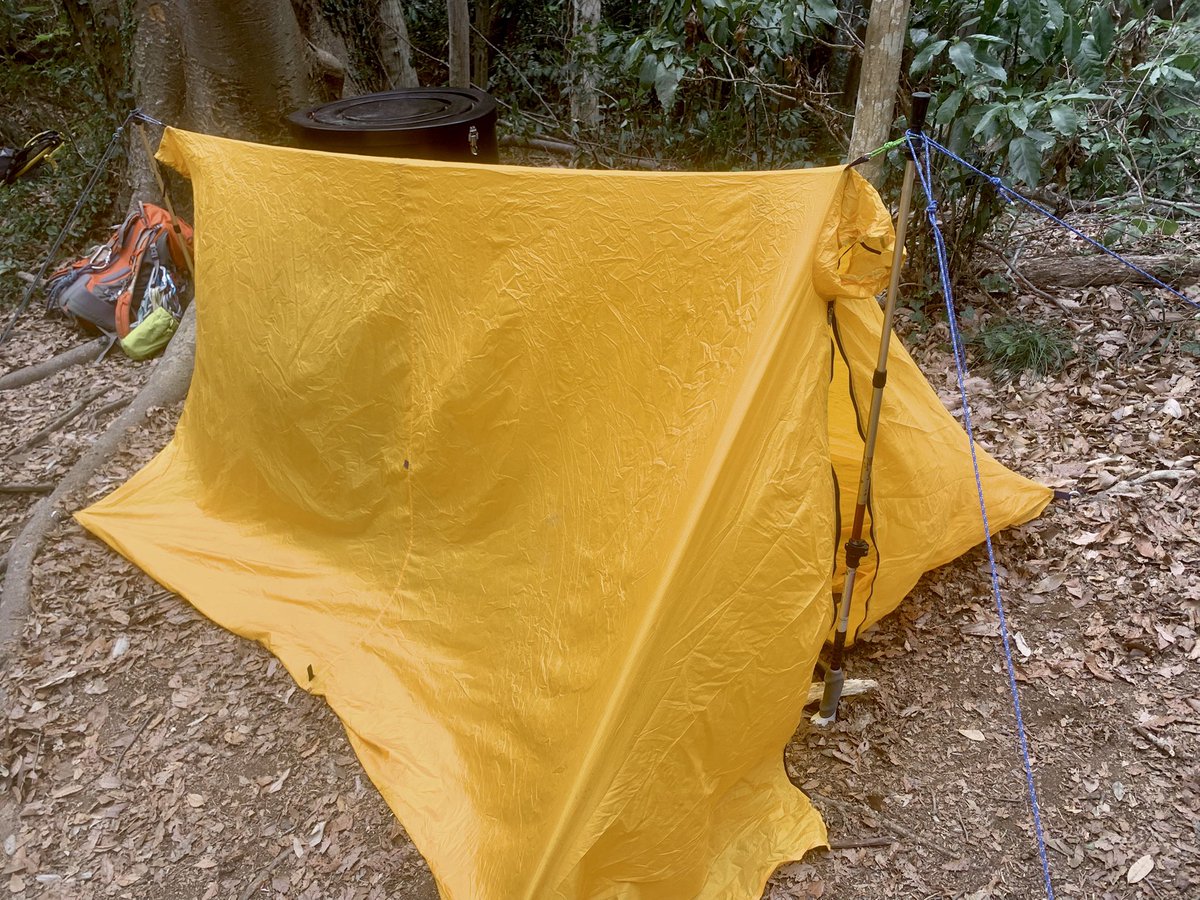 Allein Adler（アライン アドラー） tweet media