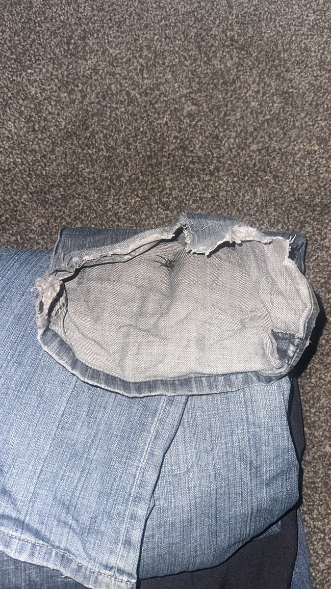 Robert Chase of shedtwt tweet media